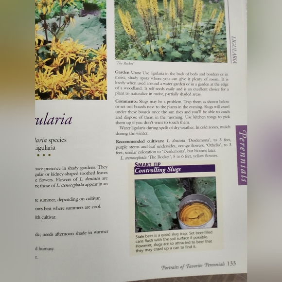 Annuals, Perennials & Bulbs - Picture 7 of 7